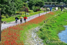 [장성소식] 황룡강 길동무 꽃길축제 내달 10∼11일 열려