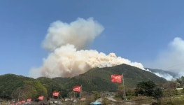 인제 하남리서 산불, 헬기 14대 투입…산림청 산불 1단계 발령