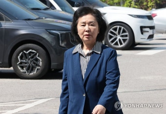 김영선 전 의원, 참고인 신분으로 검찰 출석