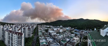 꺼진 줄 알았는데…대구 함지산 산불 재발화 원인은