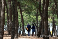 싱그러운 송정해변 솔밭