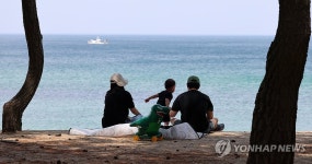 강릉은 한여름…강릉 송정해변 솔숲