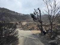 산불 전소에도 복구 사각지대 놓인 경북 비지정 문화재들