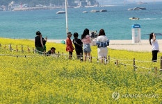 꽃도 보고 시원한 바닷바람도 쐬고