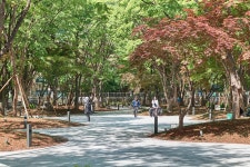 강동구 명일광장, 안전 사각지대서 열린 공간으로 탈바꿈