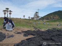 제주 바다를 지켜요