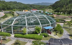 정원 결혼식도 OK 영동 과일나라 테마공원의 변신