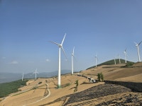 태백시, 여름 성수기 매봉산 바람의 언덕 출입 통제