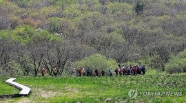 자연의 숨결 간직한 인제 대암산 용늪