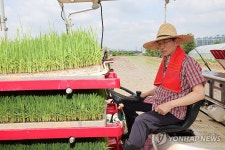 이양기 탄 김문수 후보