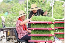 이양기 탄 김문수 후보