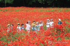 활짝 핀 웃음꽃