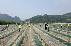 농협중앙회, 홍천서 노사합동 일손 돕기 펼쳐