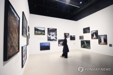 사진 예술의 시작