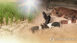 폭염 가축 피해 막는다…전북도, 환풍기 등 설치에 164억 투입