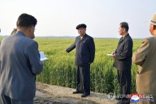 북한 박태성 내각 총리, 남칠농장 등 시찰