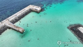 스노클링의 계절이 왔다