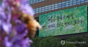 교보생명 광화문 글판 여름편 여름은 동사의 계절