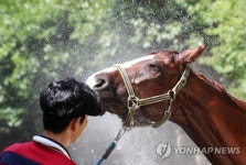 괴산 중원대학교, 승마시설 개보수 지원 사업 선정