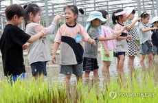 이게 나중에 밥이 되는 거야