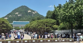 [샷!] 문 닫는대서 영광서 어제 올라왔어요