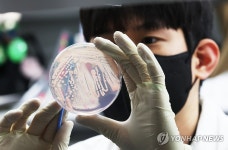 풀무원 빵 집단식중독 확산…충북 이어 세종·부안서도 확인