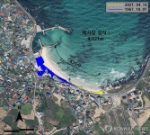 [해안사구의 재발견] ② 핫플 제주 월정해변, 개발 광풍에 사구 70% 파괴