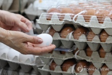 계란값 상승 배후 조사 나선 공정위