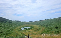 초록빛 제주 금오름