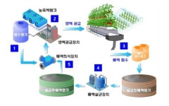강원농업기술원, 순환식 수경재배 기술로 여름 파프리카 육성