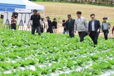 농진청, 여름배추 주산지에 기술지원단 파견…병해 등 대응