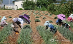 폭염 속 밭일