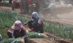 폭염 속 밭일