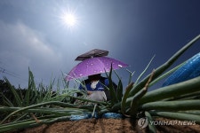 폭염 속 밭일