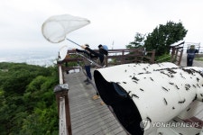환경부 직원들, 인천 계양산 러브버그 방제 작업