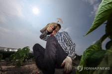 대전·세종·충남전역 폭염경보 비상…온열질환 1명 사망