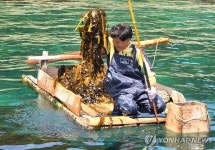 강릉시, 전통어업 창경바리 관리사업 본격화
