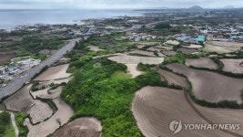 [해안사구의 재발견] ④ 모래언덕과 한집살이…미로 정원 같은 제주 바닷가 마을