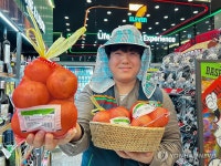 세븐일레븐, 거창 양파 전국 매장서 판매…농가 상생 프로젝트