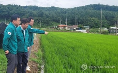 강원농업기술원, 호우 대비 농업 현장 일제 점검