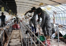 수해복구에 나선 31사단 장병