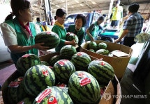 부산 엄궁농산물도매시장, 지역 이웃을 위해 수박 700통 나눔 행사