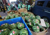 부산 엄궁농산물도매시장, 지역 이웃을 위해 수박 700통 나눔 행사