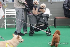 [샷!] 강아지도 입학시험 본다…스카이개슬