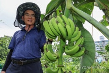 서울에서 열린 바나나 소개하는 이은수 대표