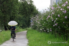 비 내리는 광주천변