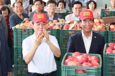 처서 앞두고 경남 대표 거창사과 출하 시작…초매식 열려