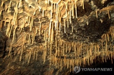 [해안사구의 재발견] ⑦ 용암동굴에 석회동굴 생성물…세계유산 빛낸 제주 사구