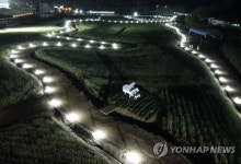 평창군 효석문화제, 문학과 미식 투어상품 운영