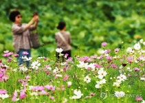 절기상 백로, 가을을 느끼며